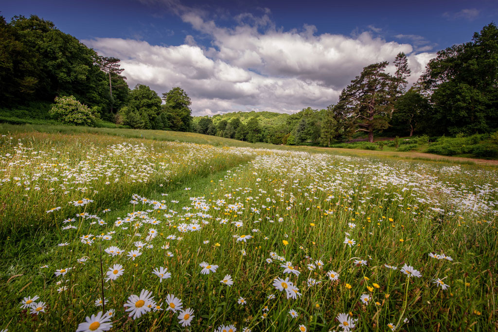 Wakehurst