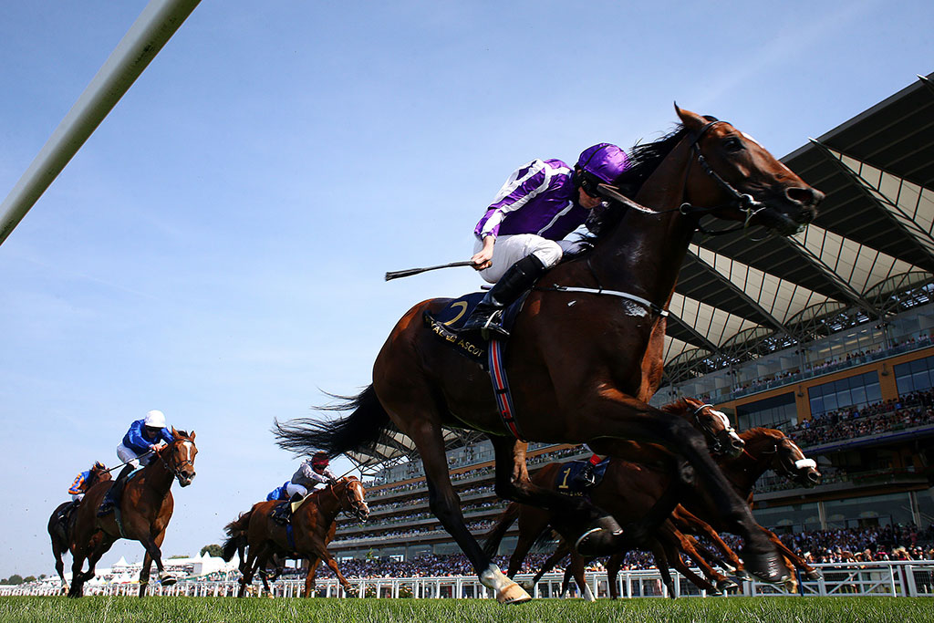 Royal Ascot