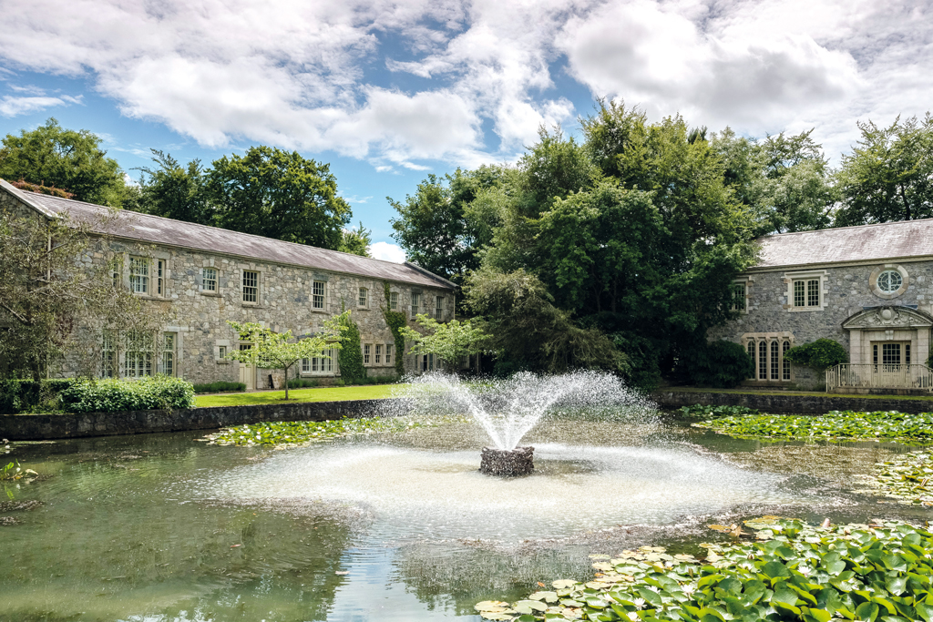 Cliff at Lyons Kildare