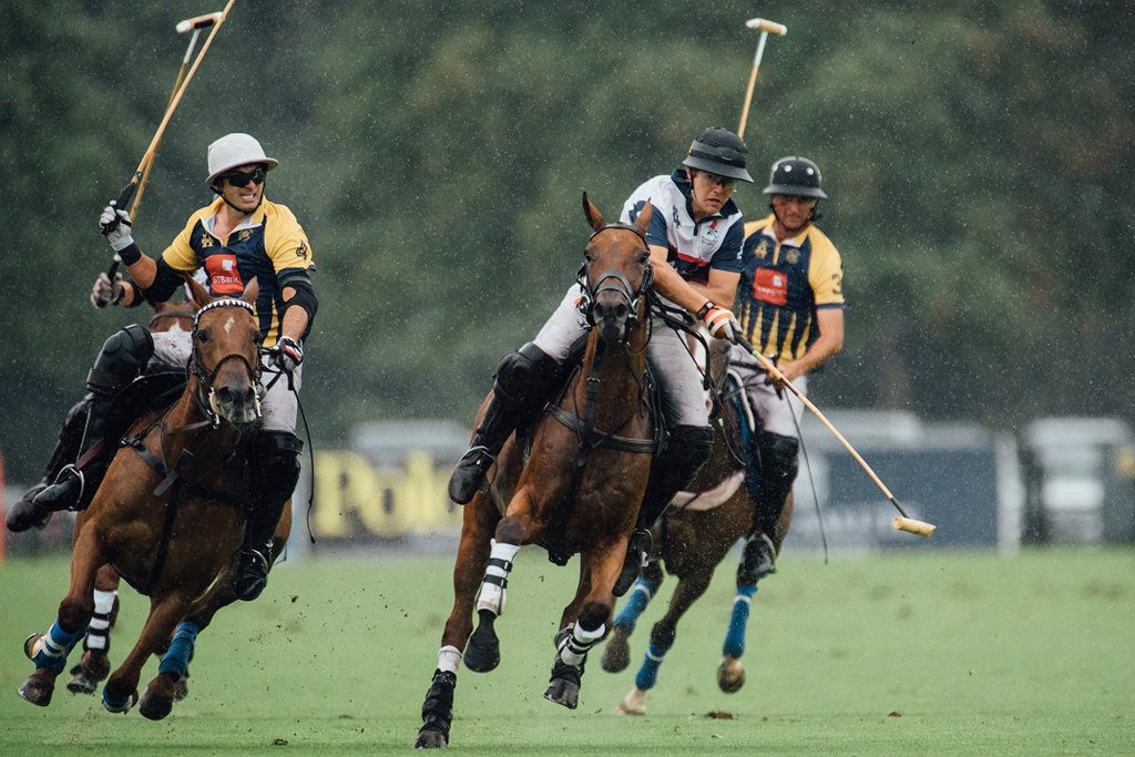 The International Day, polo playing
