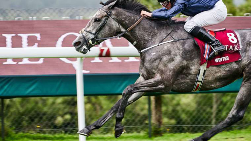 racing at goodwood