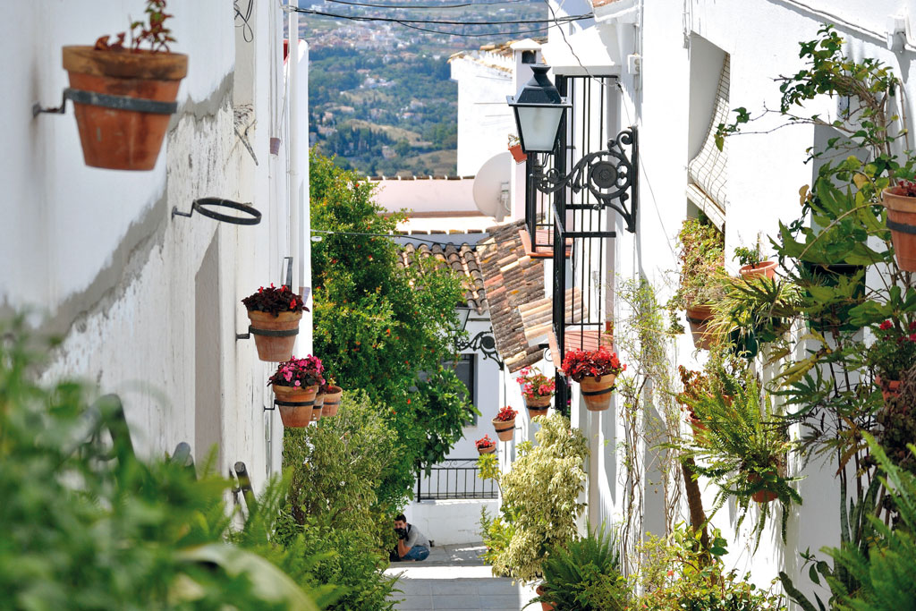 white street flowerpots 