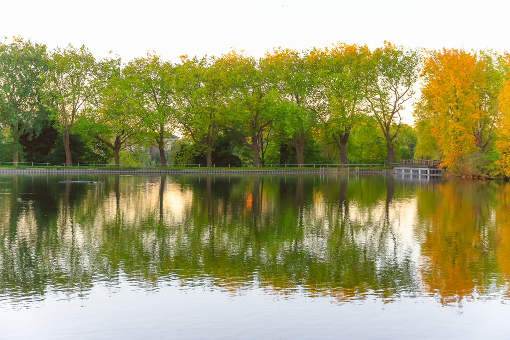 Hampstead Ponds