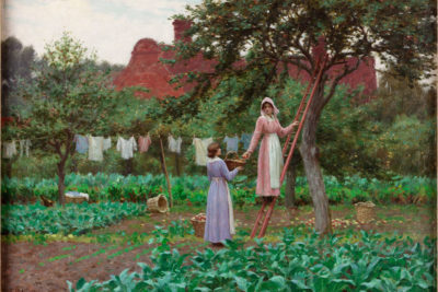 The Enchanted Garden