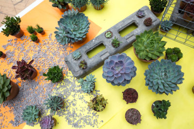 Urban Garden Show