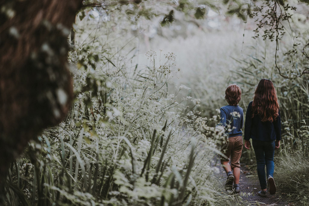 Woodland, Photo by Annie Spratt on Unsplash