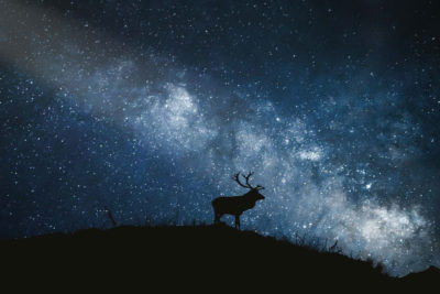 Stargazing at The Torridon Resort