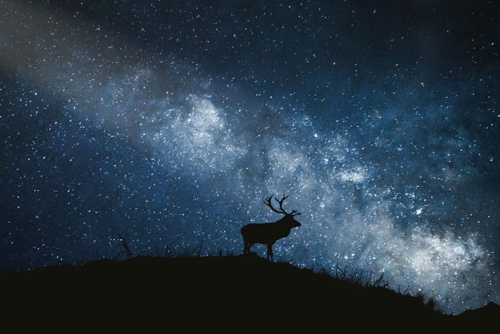 Stargazing at The Torridon Resort