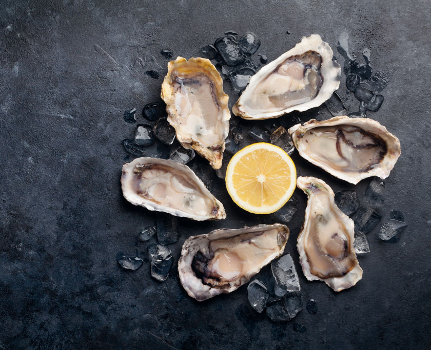 Oysters