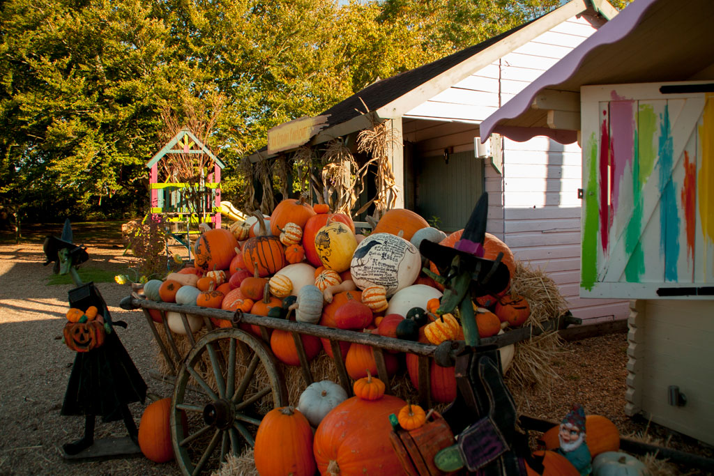 Pumpkins