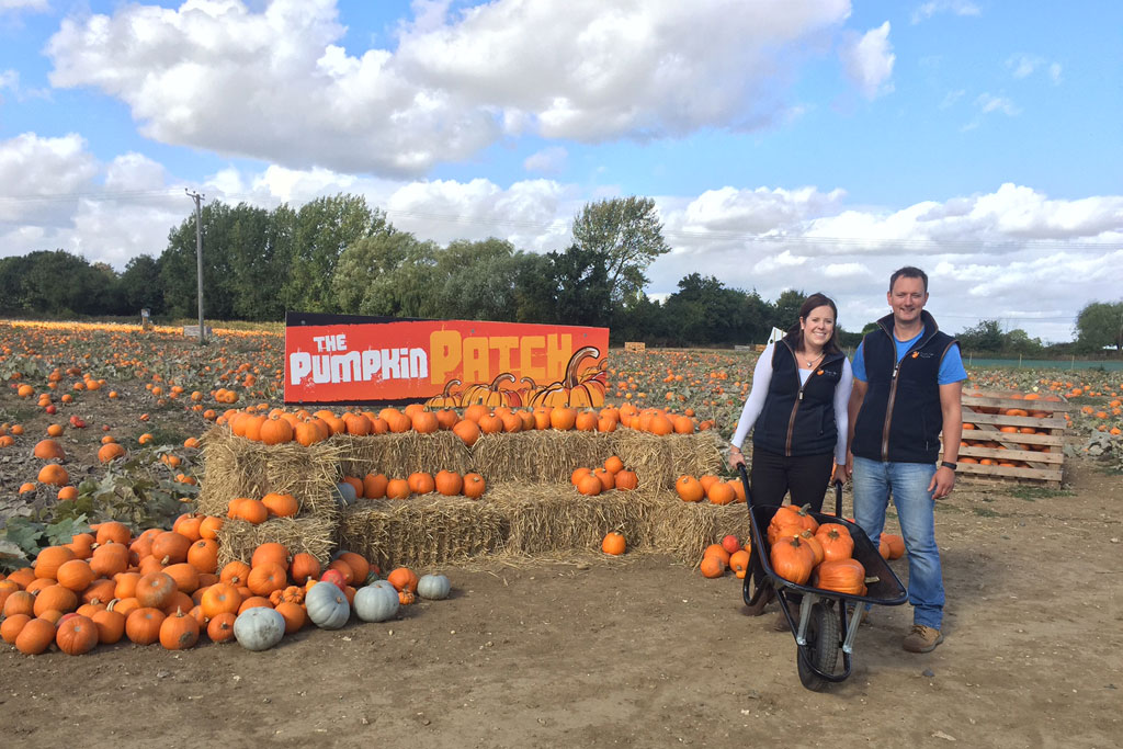 Foxes Farm