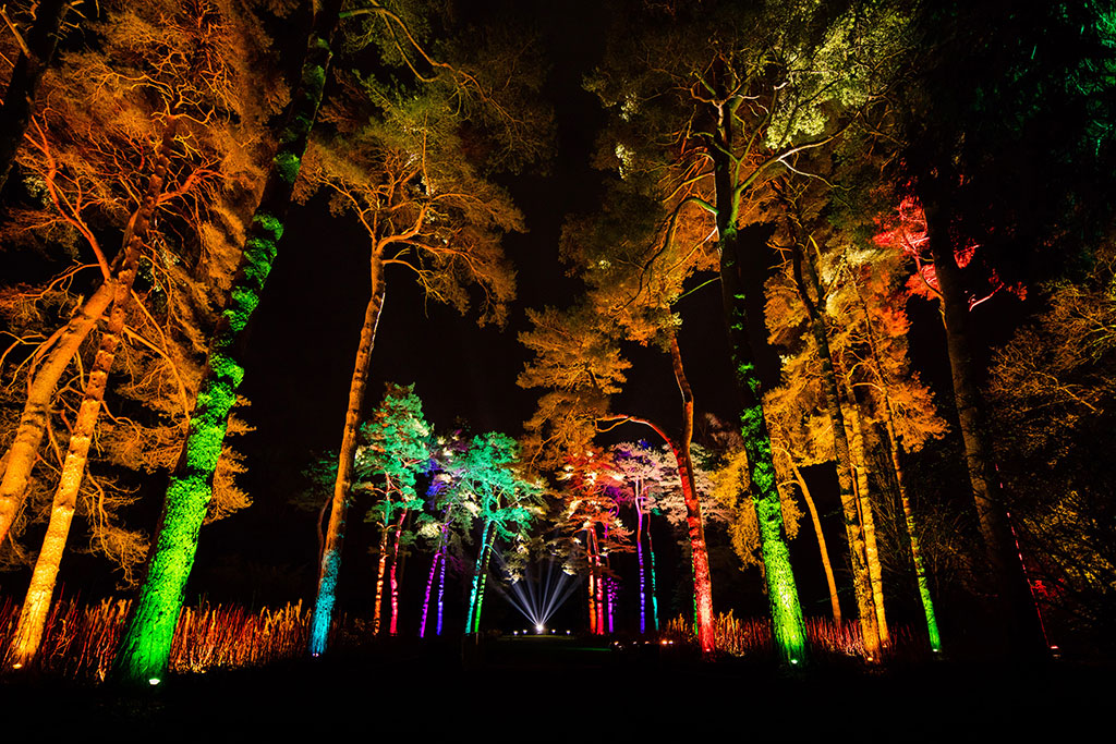 The National Arboretum