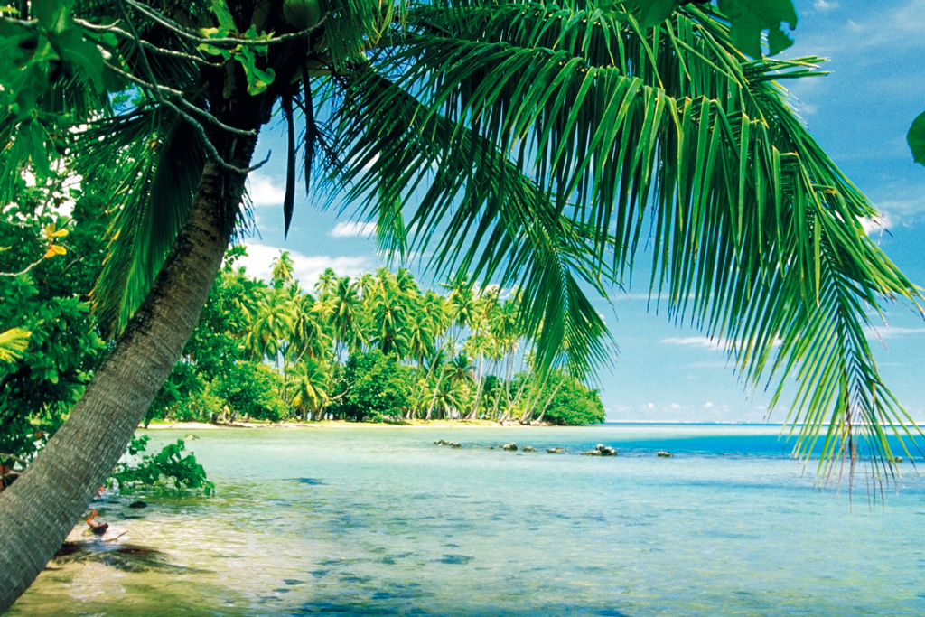 Escape to Tahiti