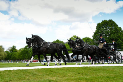 Royal Windsor Horse Show