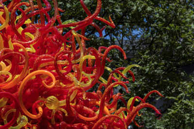 Chihuly at Kew: Reflections on nature