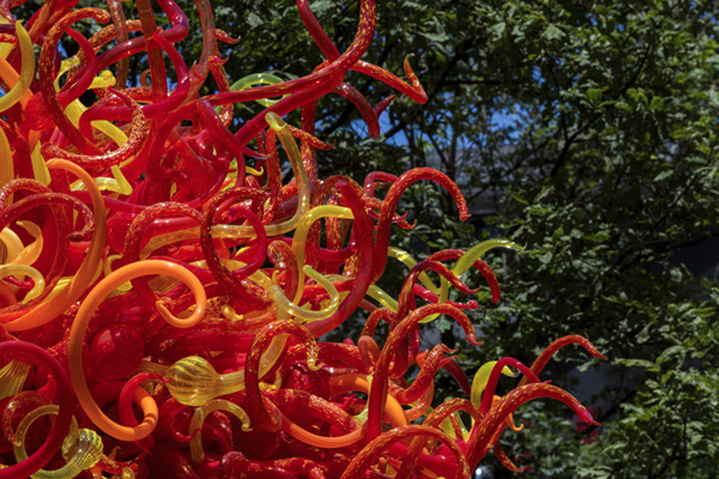 Dale-Chihuly
