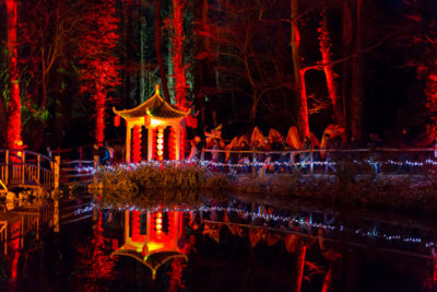 Spirit of the Orient