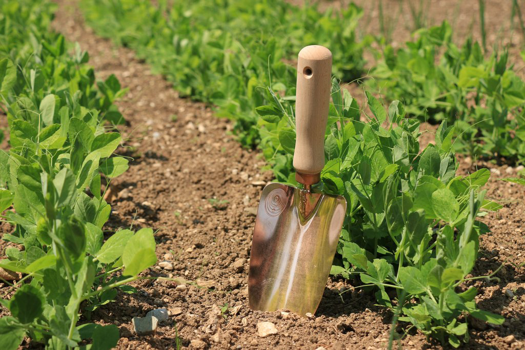 Garden Trowel