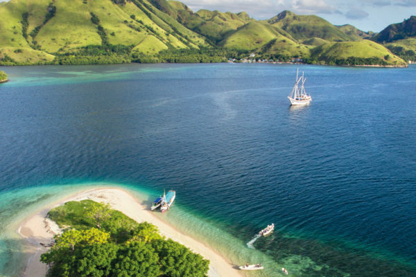 A Whale Of A Time: Peter Hughes Discovers Indonesia