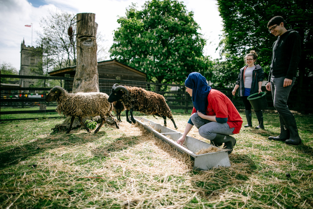 Stepney City Farm