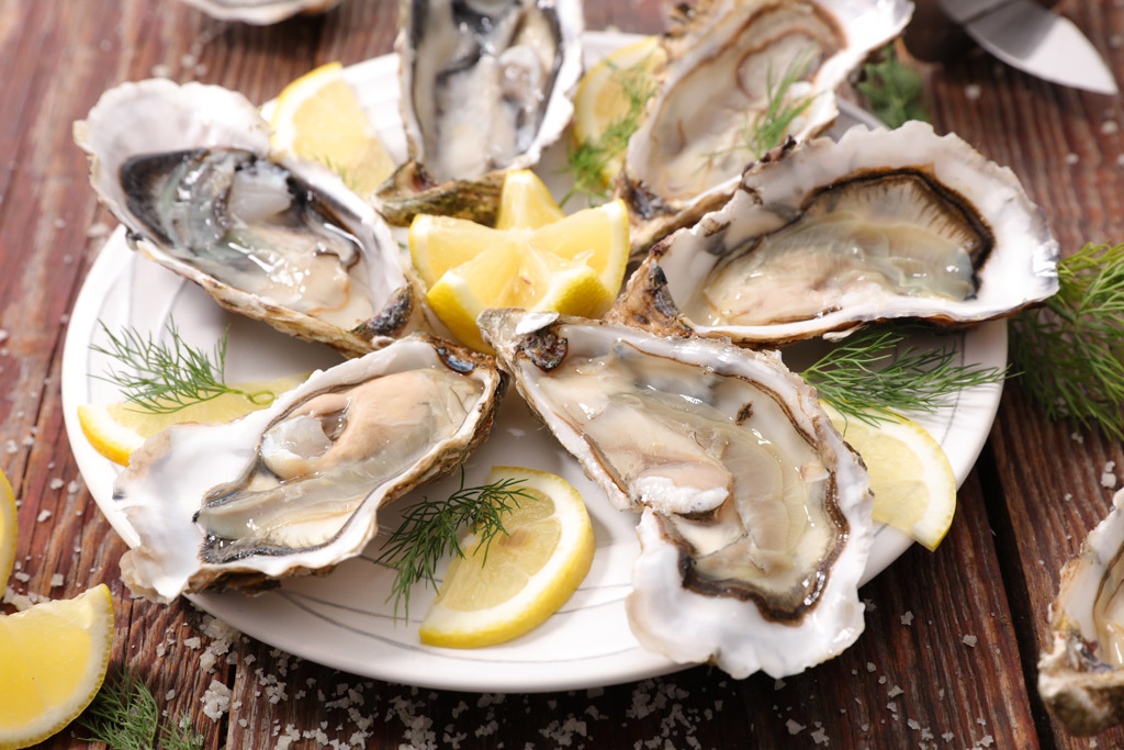 Oysters