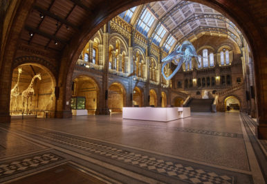 Your favourite films screened in stunning surroundings