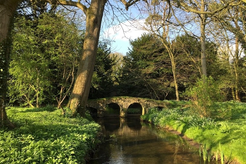 Norfolk Walk With a Fork
