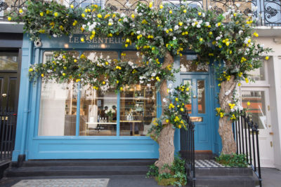 Belgravia in Bloom 2019