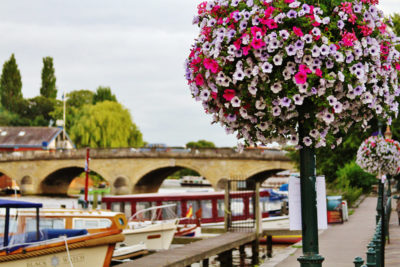 Thames Traditional Boat Festival