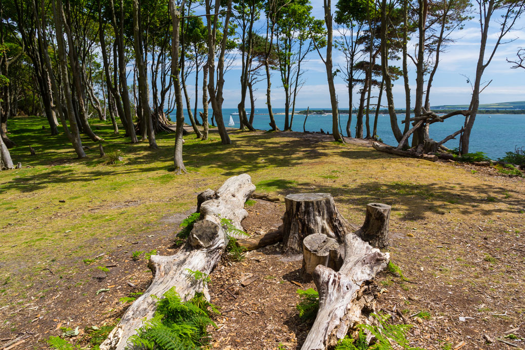 Brownsea Island