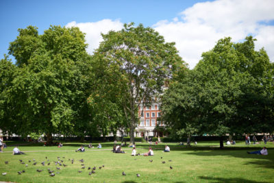 The May-Fair at Grosvenor Square