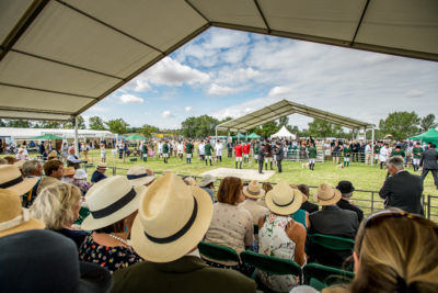 Lycetts Festival of Hunting