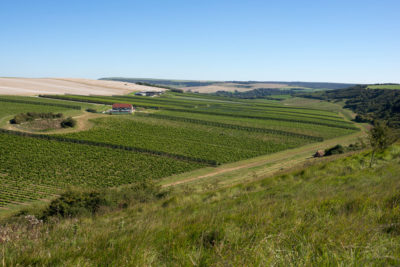 Martin Carabott at Rathfinny's Tasting Room