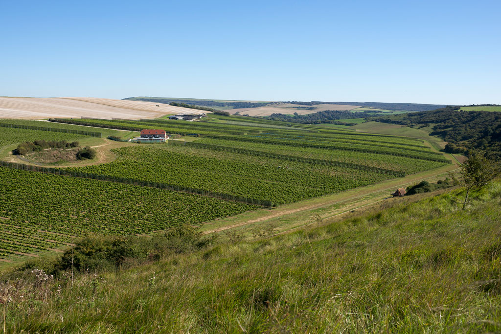 Rathfinny's Wine Estate