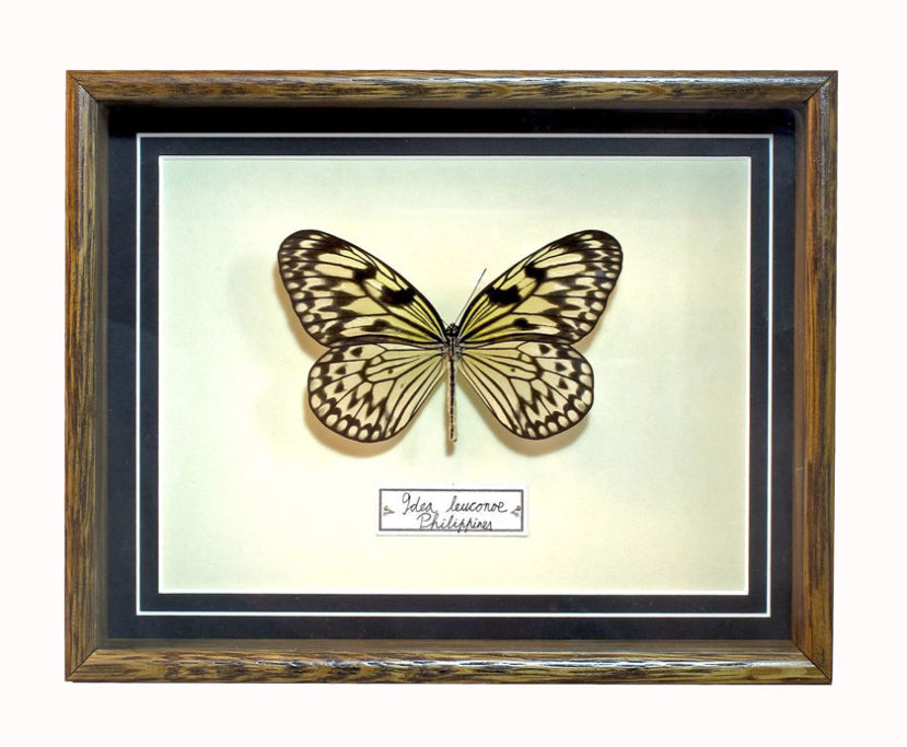 Les Couilles du Chien