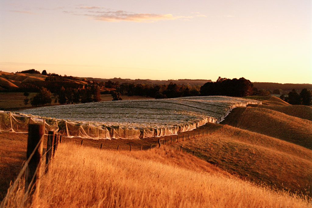 Neudorf, New Zealand