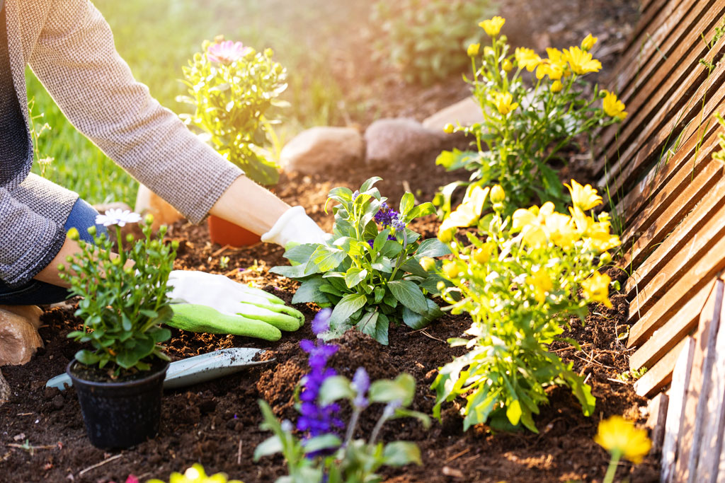 A Guide To Sustainable Gardening