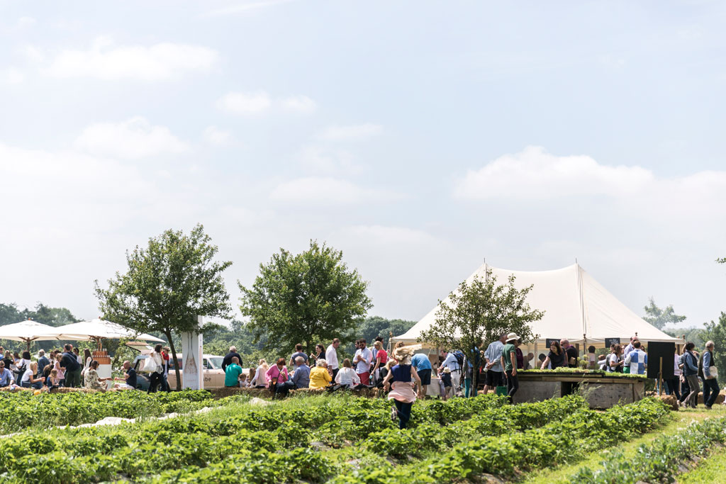 Daylesford Summer Festival