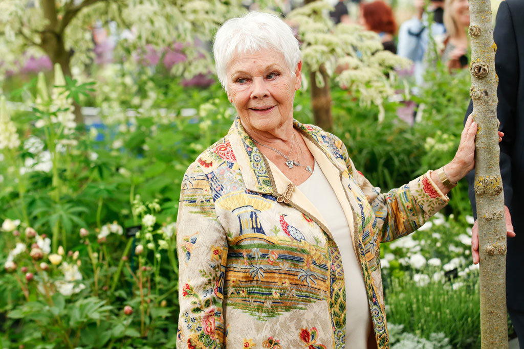 Chelsea Flower Show 2019