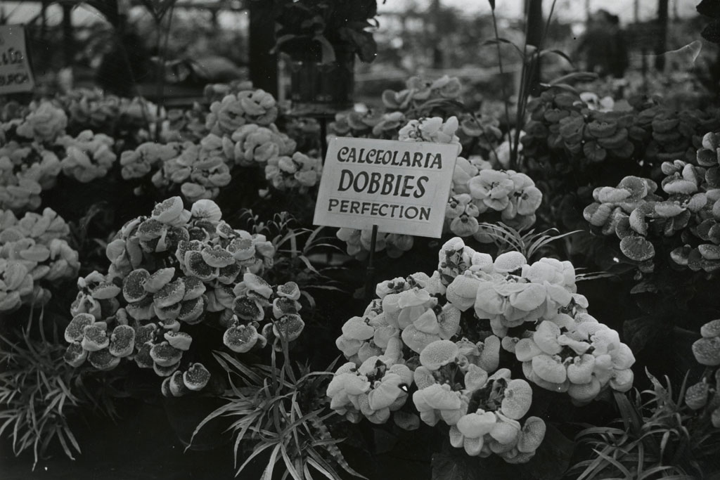 Chelsea Flower Show