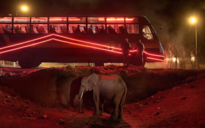 Saving elephants with art