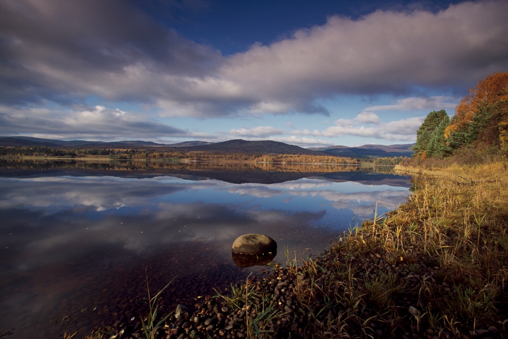 Insh Marshes