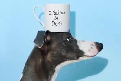 Seven Dials Pop-Up for Dog Lovers