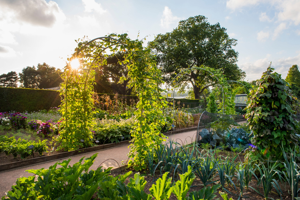 RHS Garden Wisley, Surrey