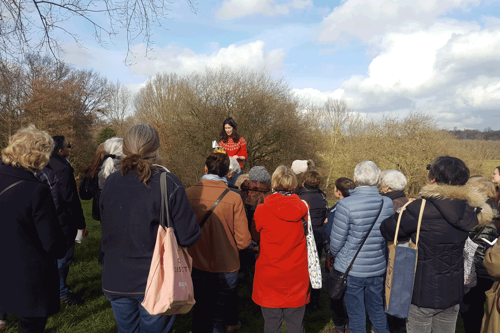 Emily's Walking Book Club