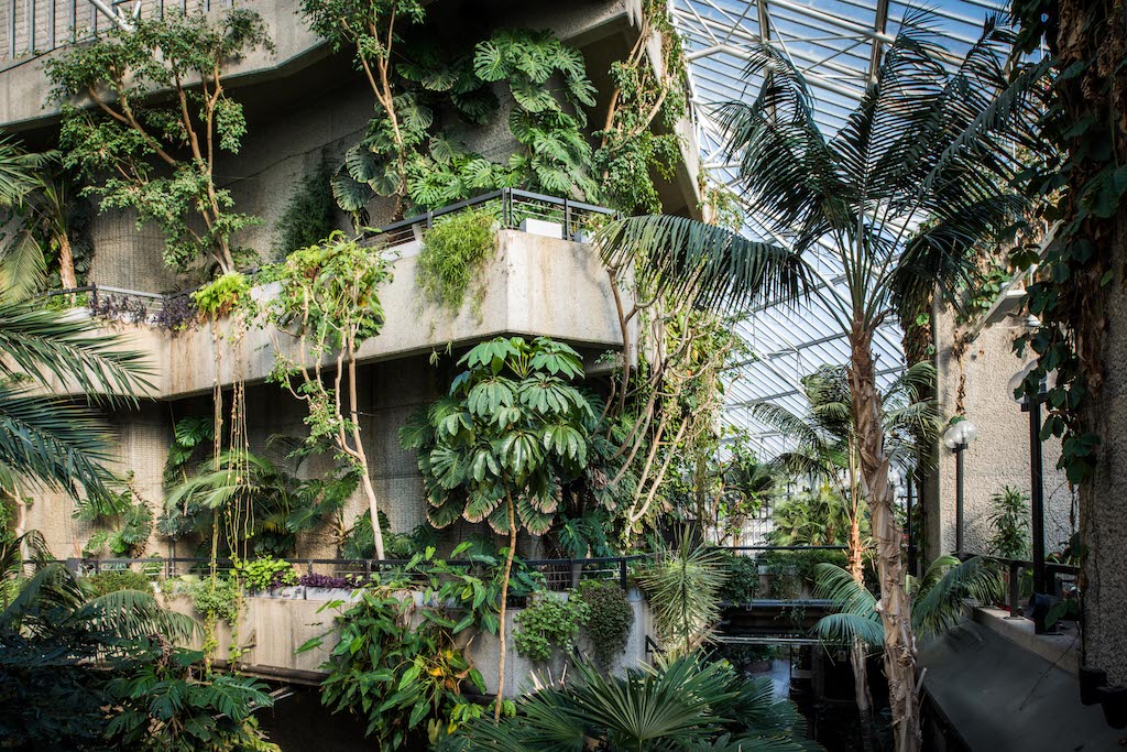 14. Conservatory, Barbican Centre, CREDIT Max Colson