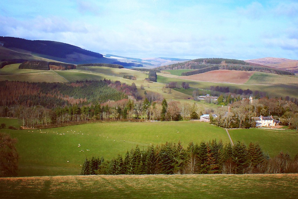 Faldonside - Melrose, Roxburghshire