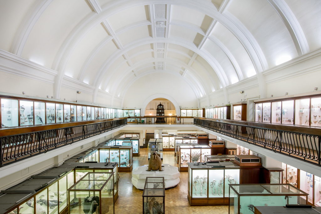 London's Best Small and Unusual Museums