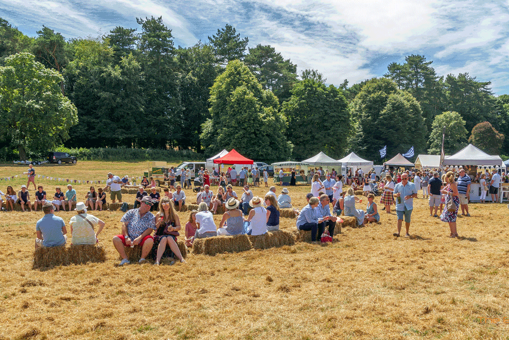 Vineyards of Hampshire Wine Festival