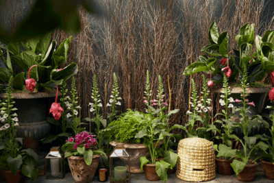 Bee Mindful at Petersham Nurseries